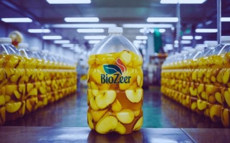 Biozeer Probiyotik Hakkında